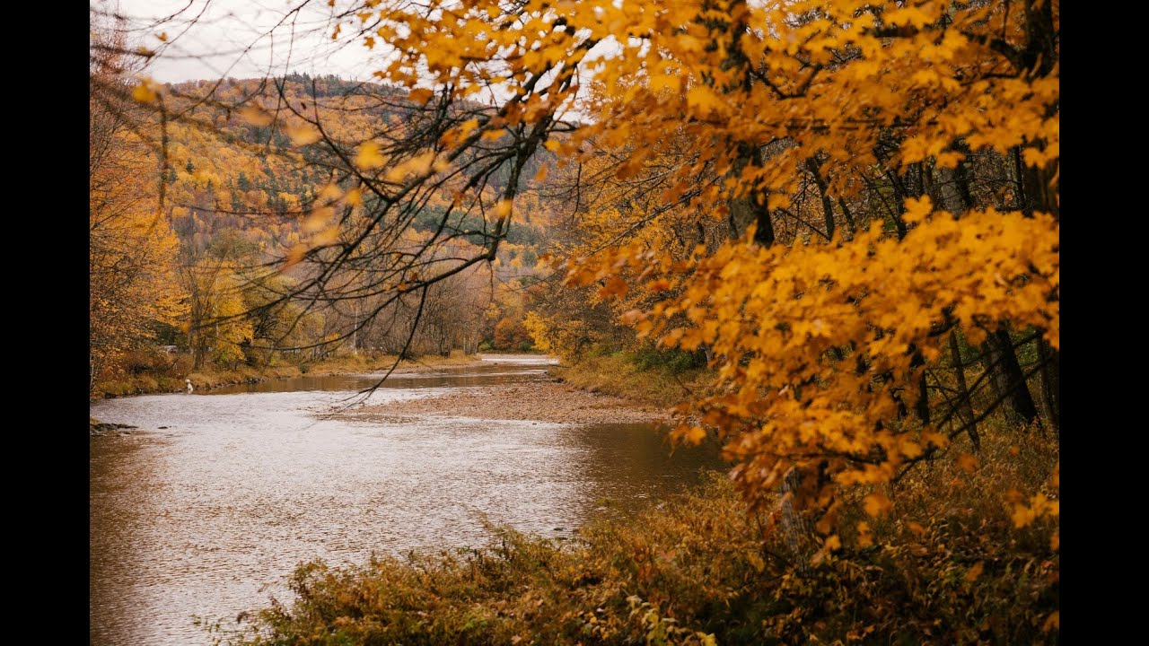 Rio Escuro   