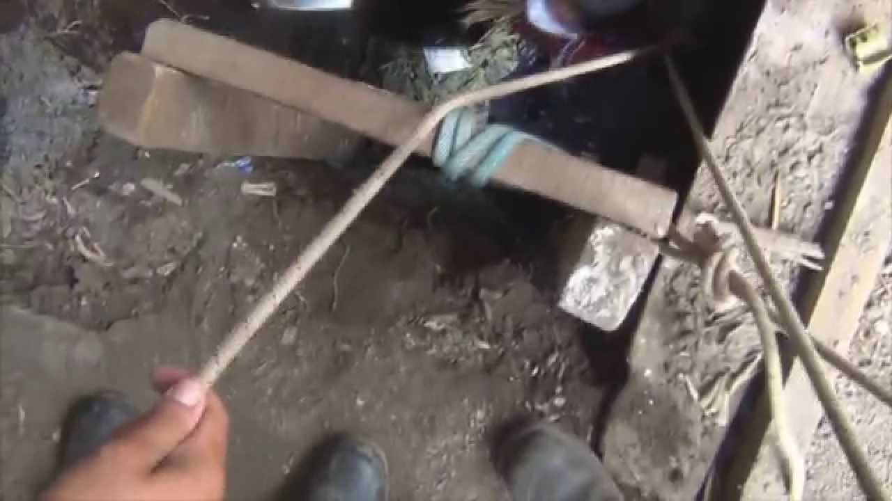 Carne de pescado podrida en el fondo de la letrina causa mal olor