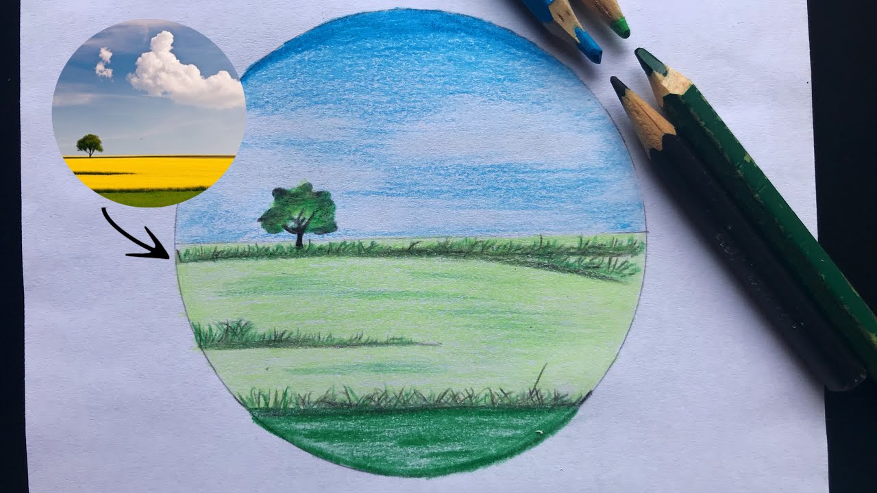 Árvore solitária nos campos. Aula de desenho narrada. #lapisdecor