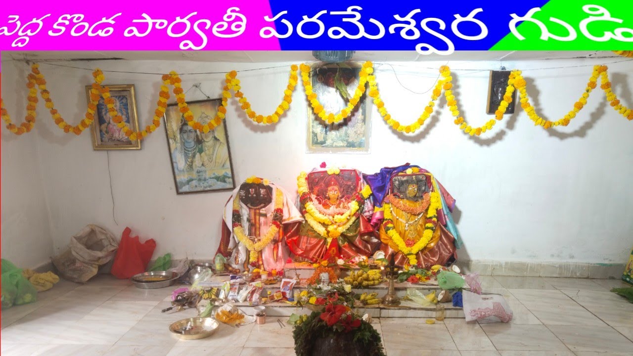 బొడ్డొలస బొబ్బిలి శివపార్వతుల టెంపుల్🛕#full vedio🙏😍#
