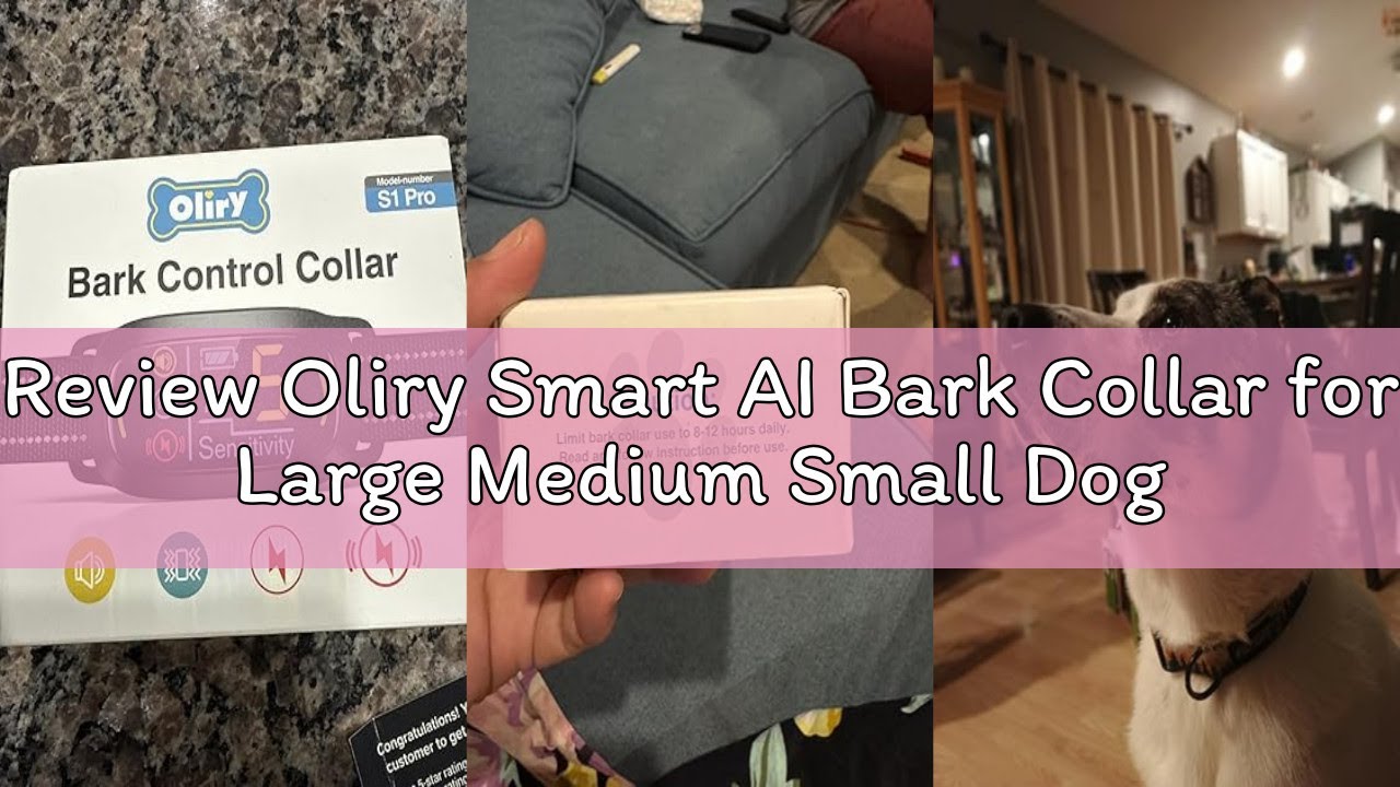 Review Oliry Smart AI Bark Collar for Large Medium Small Dogs, Anti Barking Device with 5 Training M