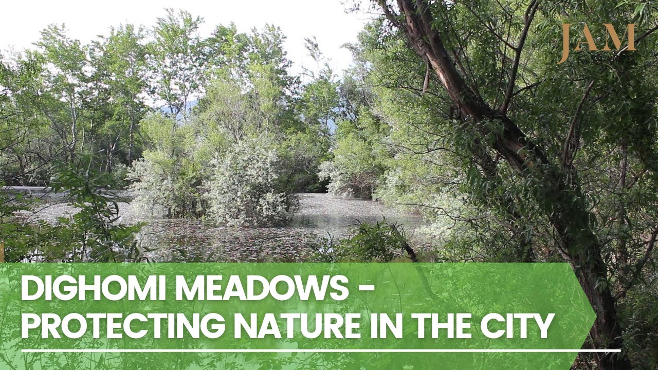 The tragedy of Dighomi Meadows in Tbilisi