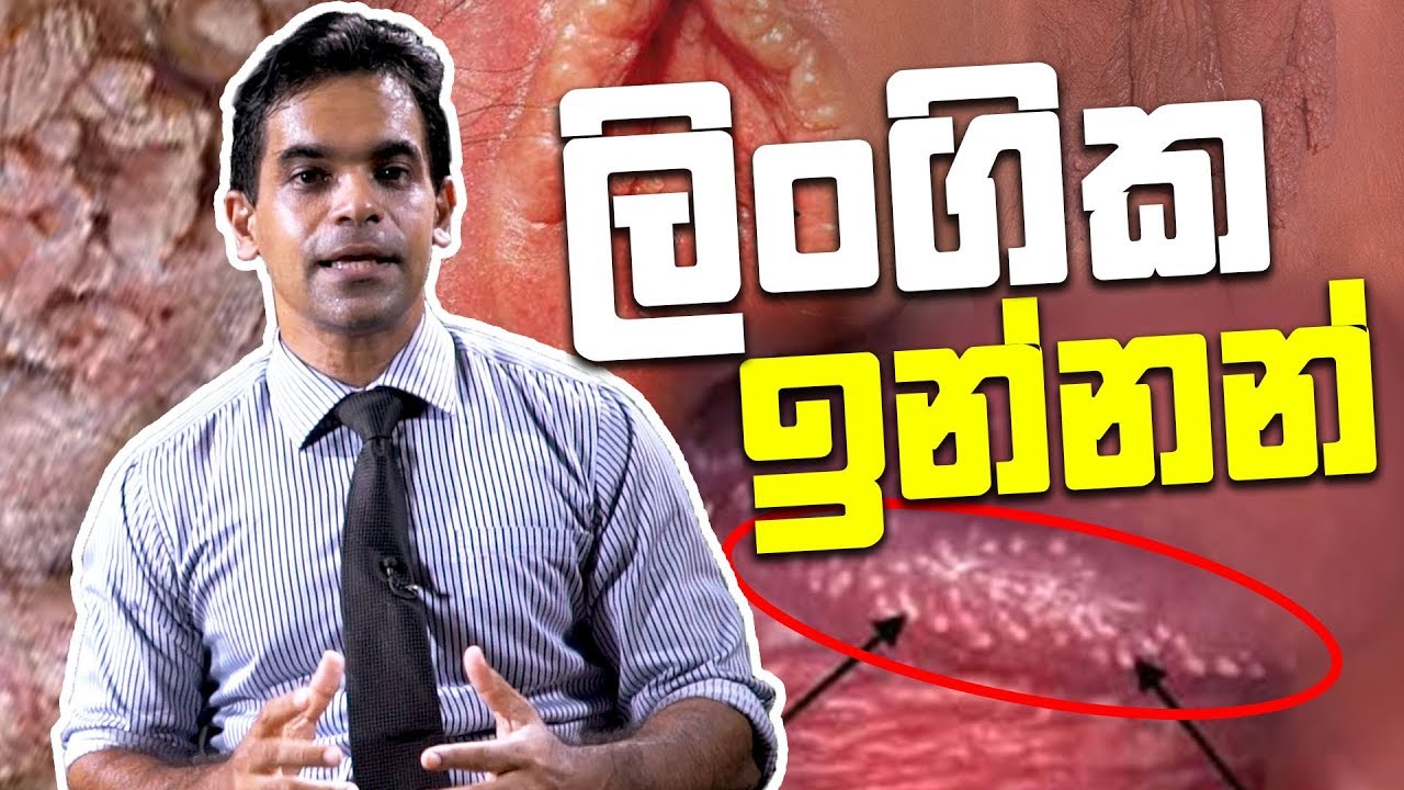 ලිංගික ඉන්නන්