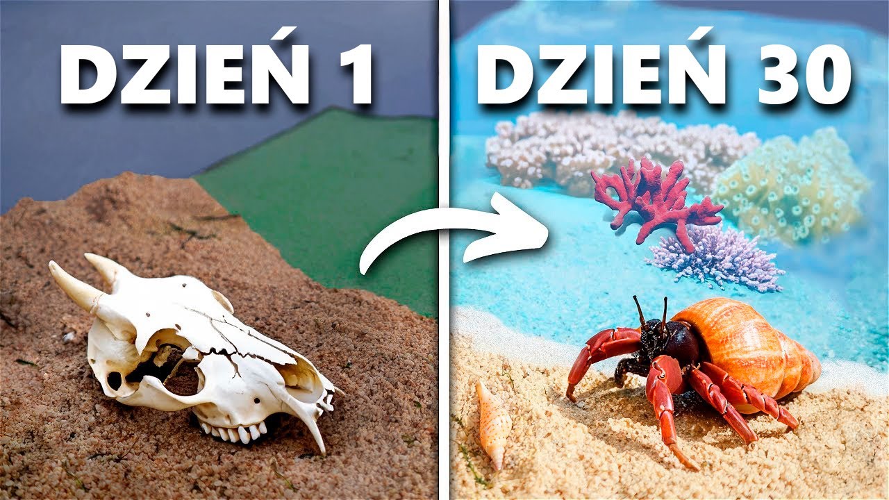 Symulacja Plaży Przez 30 Dni