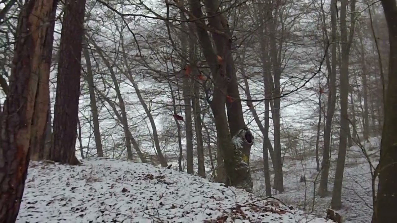 Burgstall Teil 3, Vorburghügel, 8. bis 10. Jahrhundert, Ergoldsbach