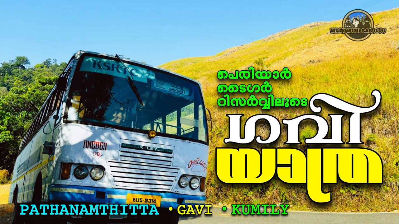 പെരിയാർ ടൈഗർ റിസർവ്വിലൂടെ ആന വണ്ടിയിൽ ഒരു ഗവി യാത്ര അറിയേണ്ടതെല്ലാം Pathanamthitta to Gavi | KSRTC