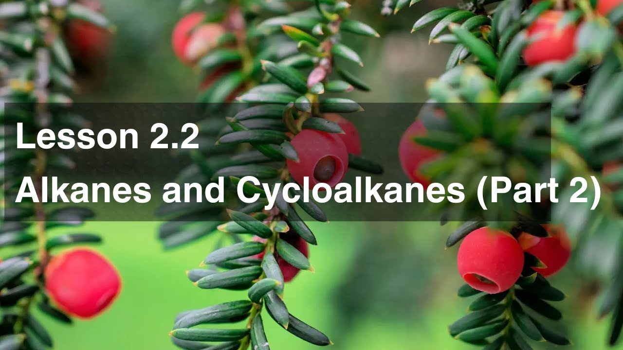 Lesson 2.2 Alkanes and Cycloalkanes (Part 2)