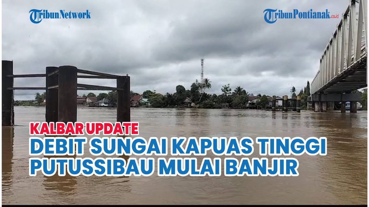 🔴  Putussibaau Mulai Banjir, Debit Air Sungai Kapuas Tinggi - BMKG Himbau Potensi Hujan Lebat Kalbar