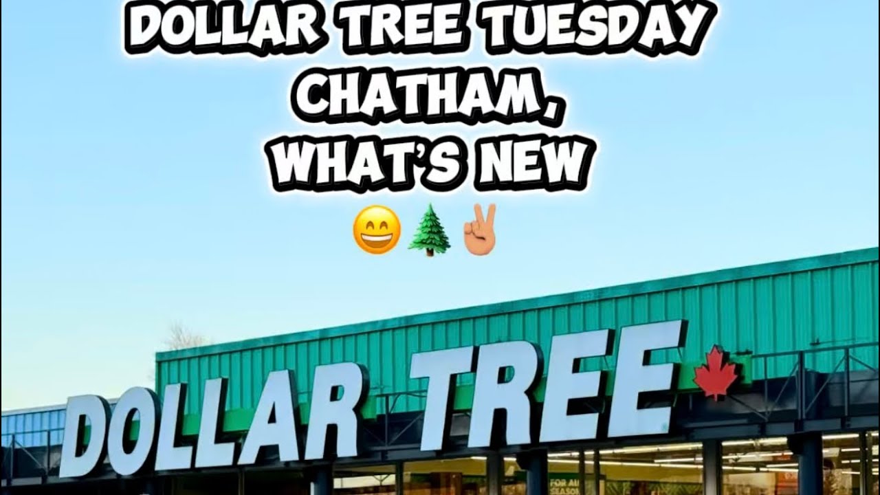 Dollar Tree Tuesday•Corn on the cob?! Always something new!😄🌲✌🏽