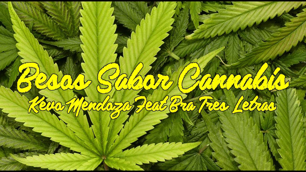 VL One Besos Sabor Cannabis Kevo Mendoza Feat Bra Tres Letras