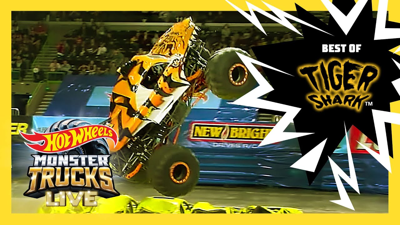 BEST OF TIGER SHARK'S CAR CRUSHING! | Monster Trucks LIVE | @HotWheels