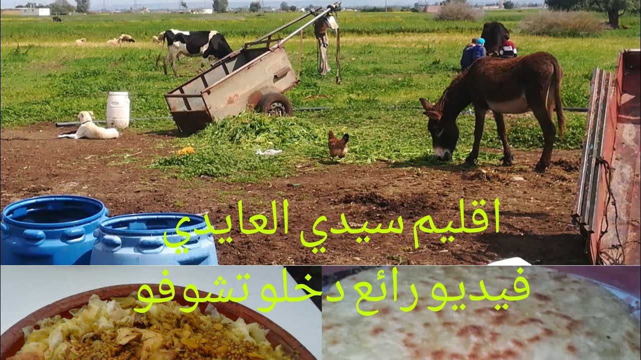 اقليم سطات /سيدي العايدي /دخلو تشوفو فيديو رائع