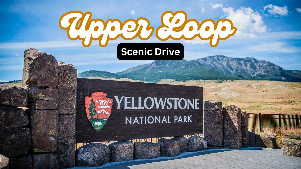 Yellowstone's Majestic Drives ~ Upper Loop Scenic Drive