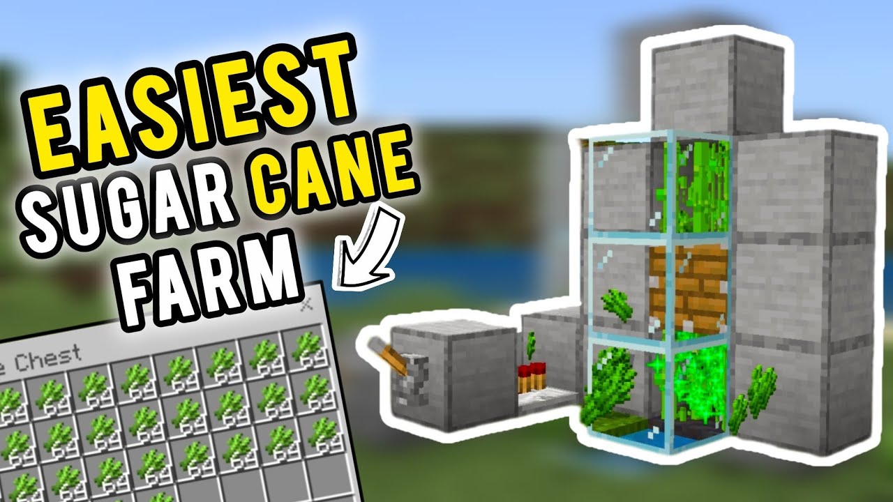 Minecraft easiest sugarcane farm for bedrock edition|| minecraft tutorial 