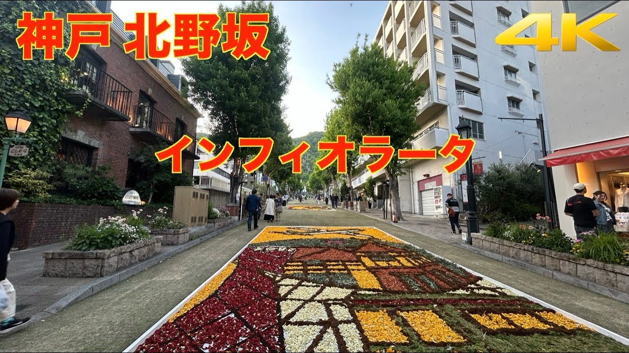 【4K】神戸 三宮 北野坂 | インフィオラータ 2025  | GWイベント | 神戸の街を彩る大きな花絵 | INFIORATA | Kobe Kitanozaka | Kobe event