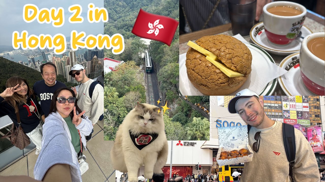 Cha chaan teng, Peak Tram, Cat Café, and Starting 2026 in Hong Kong~