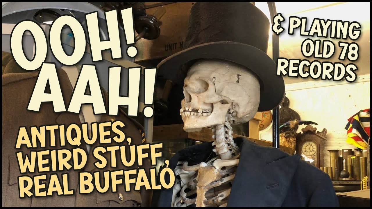 Weird & Spooky Curios, Antique Shop, Cute Buffalos & Old 78s