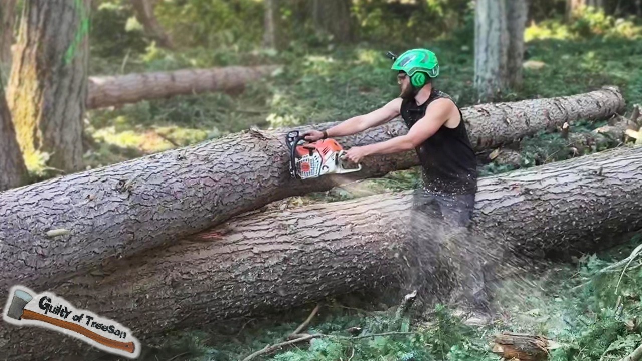 TREE-TOP MASSACRE! Clearing 20 Giants to Build a House!