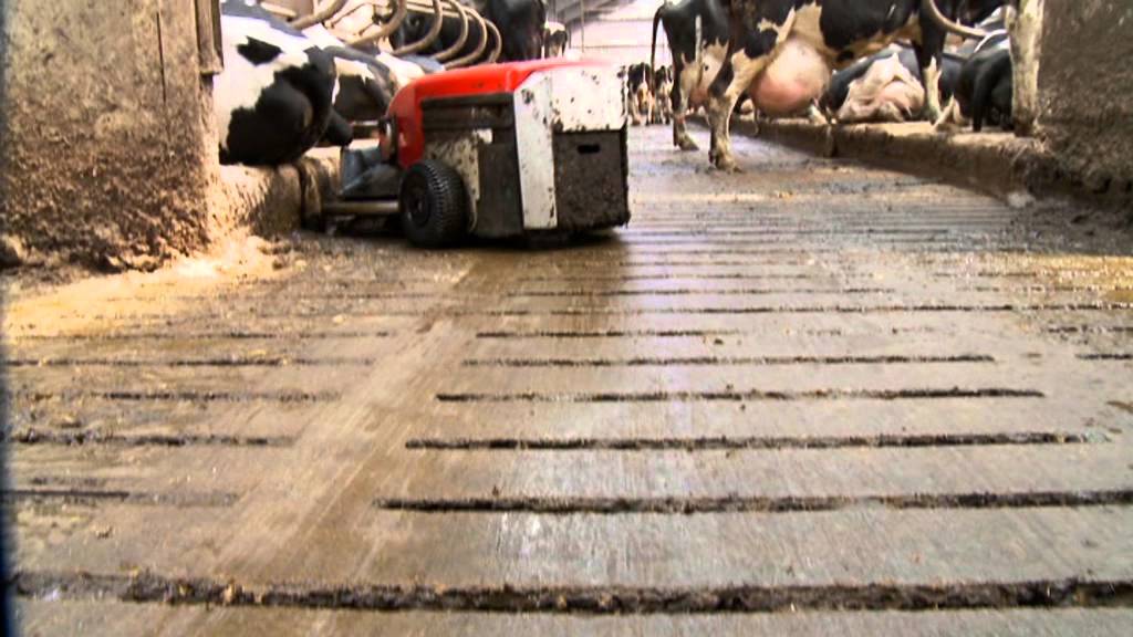 Lely Discovery Barn cleaner