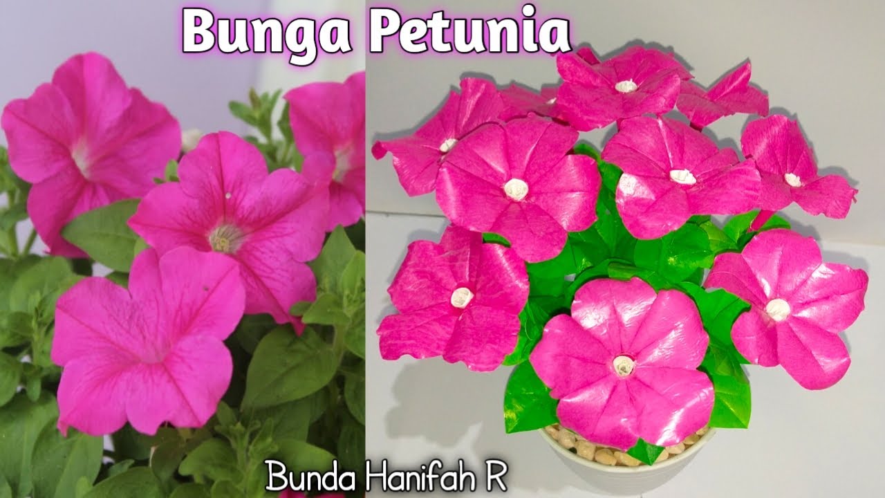 Cara membuat Bunga Petunia dari plastik kresek l How to make Petunia flower from plastic l DIY craft