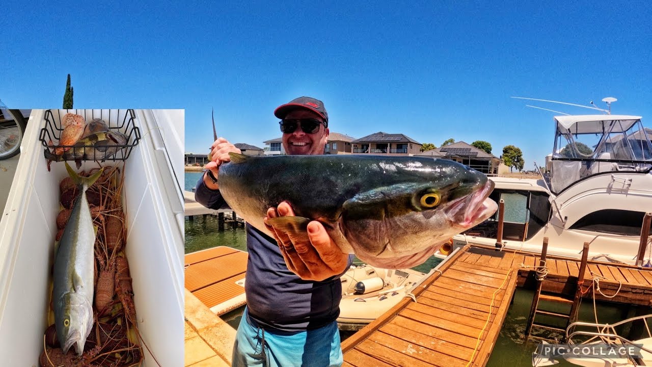 We Caught Monster Kingfish And Crayfish - Western Rock lobster