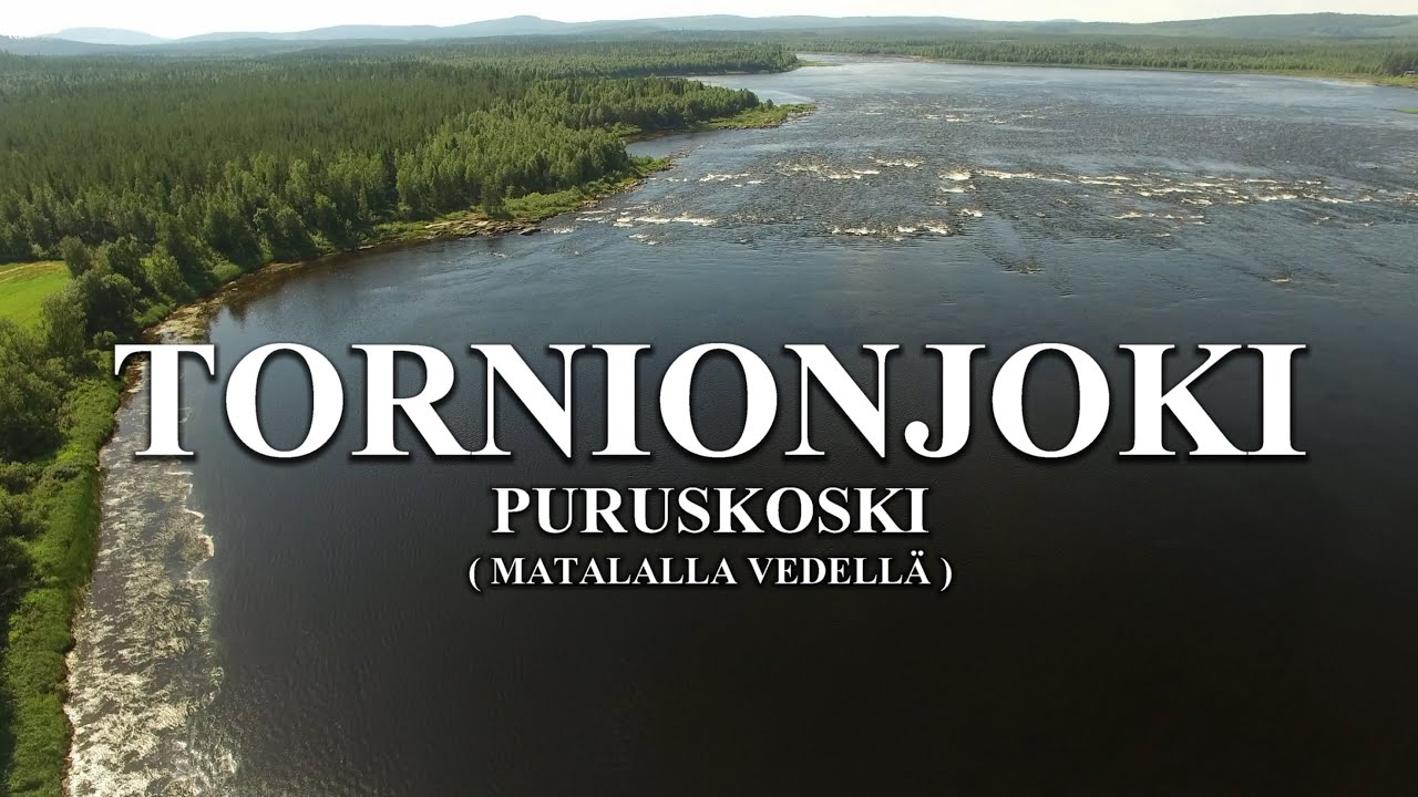 TORNIONJOKI - Puruskoski Matalalla vedellä 4K ( Pello Lohensoutu - Heittokalastus - Perhokalastus )