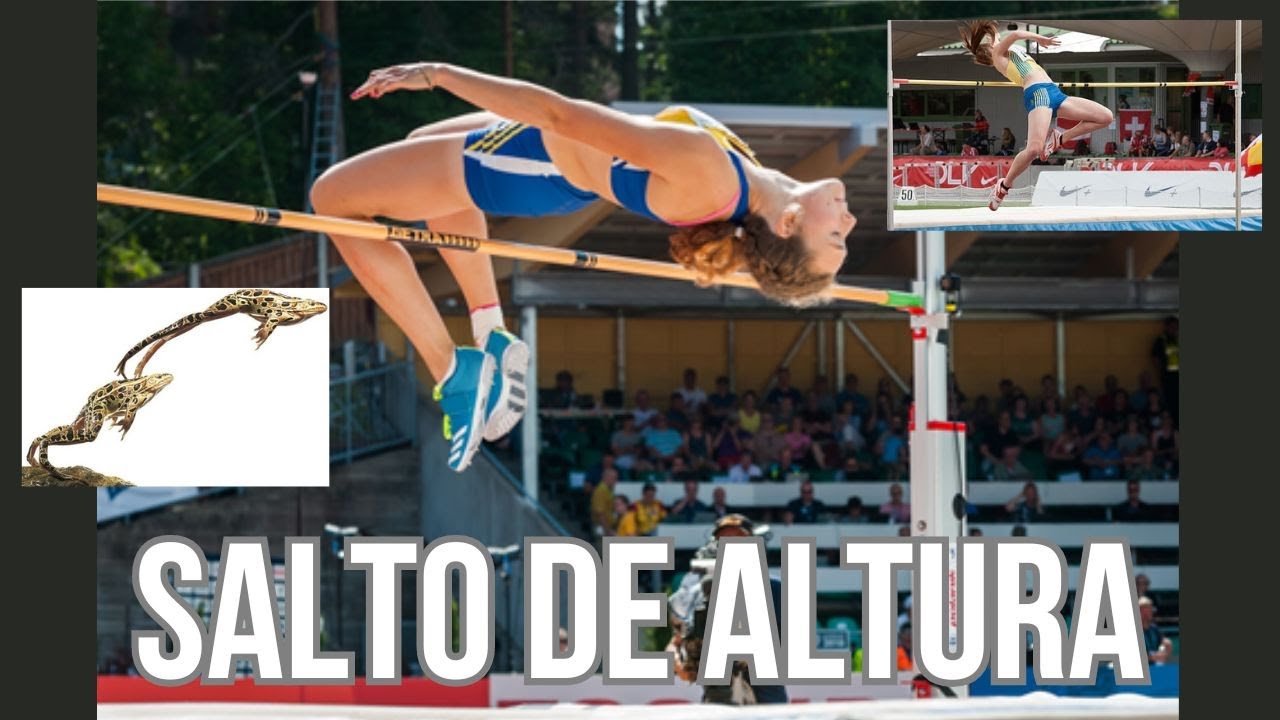 ATLETISMO 🎽🐸 Conoce los diferentes estilos de SALTO DE ALTURA: Fosbury flop y rodillo ventral