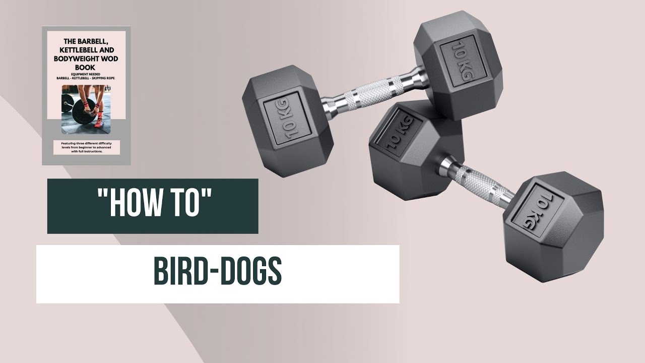 How to Perform Birddogs Tutorial - Technique Demonstration Video