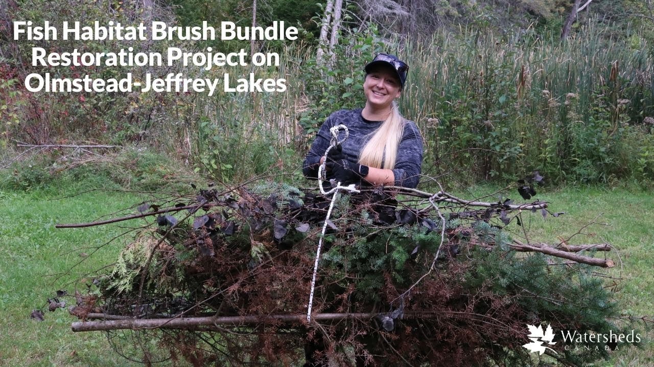 In-water fish habitat restoration project on Olmstead-Jeffrey Lakes