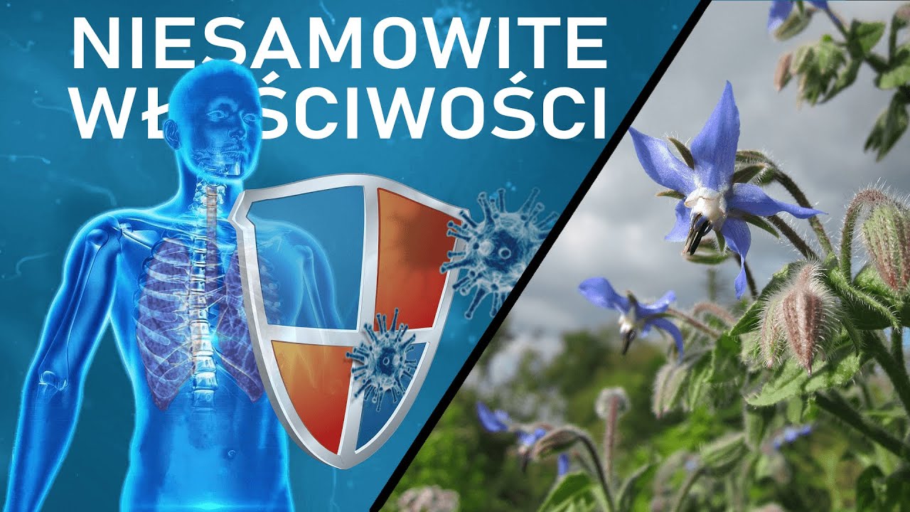 Og&oacute;recznik leczniczy - nowe, bezpieczne i skuteczne metody leczenia