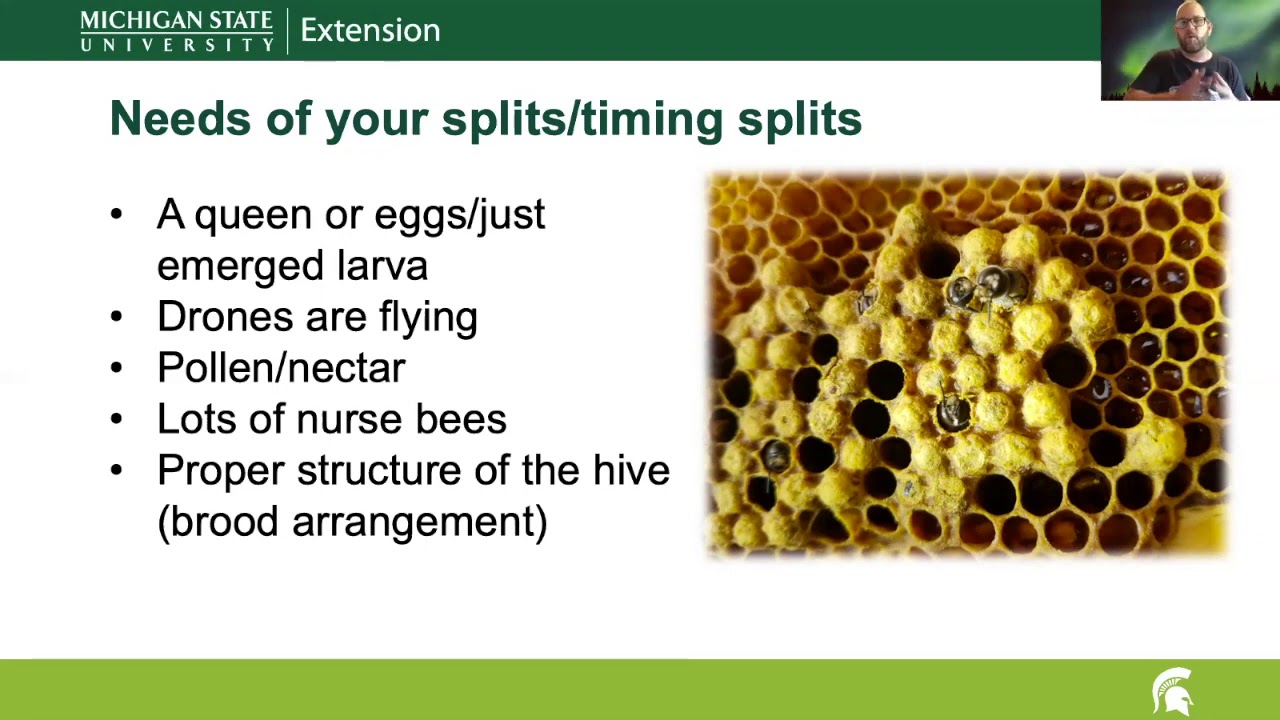 Lecture 25: Swarm Control and Splits