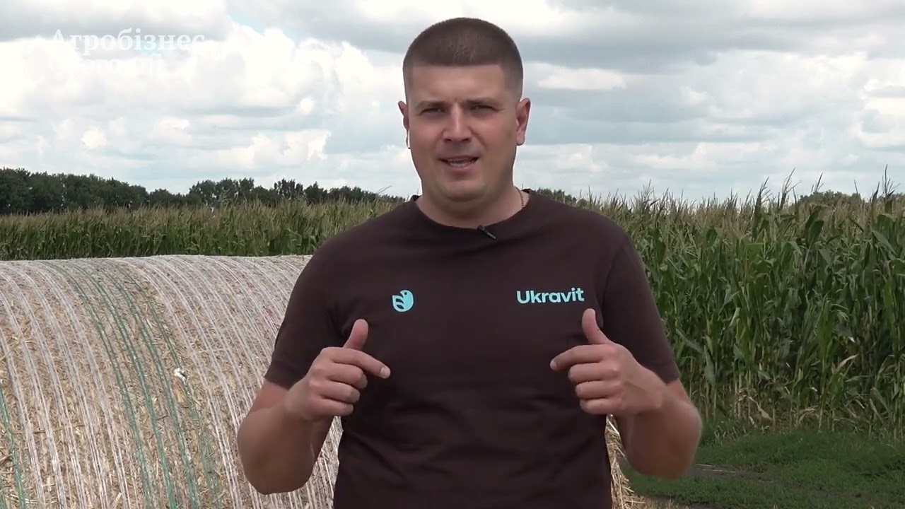 Ukravit: свій до свого по своє!