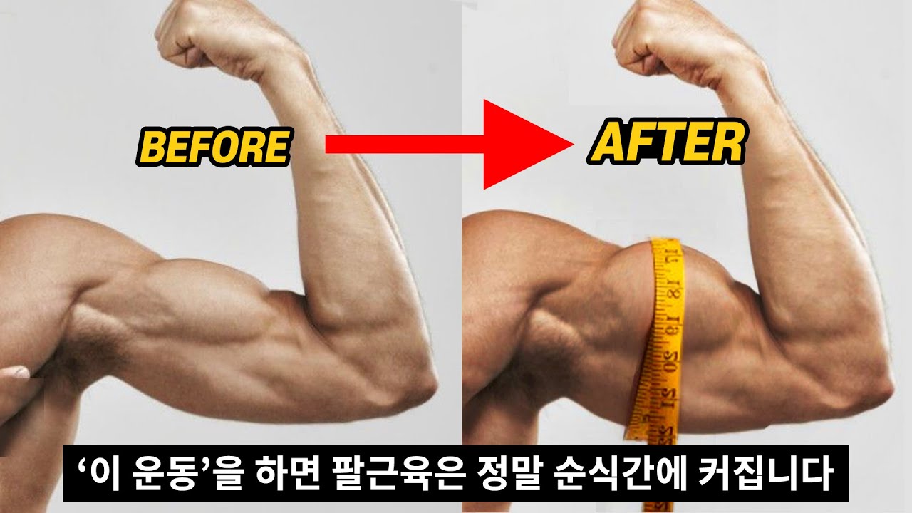 팔 사이즈를 가장 빠르게 키우는 '슈퍼세트' 운동법!? ('아놀드 슈워제네거'의 팔운동 핵꿀팁)