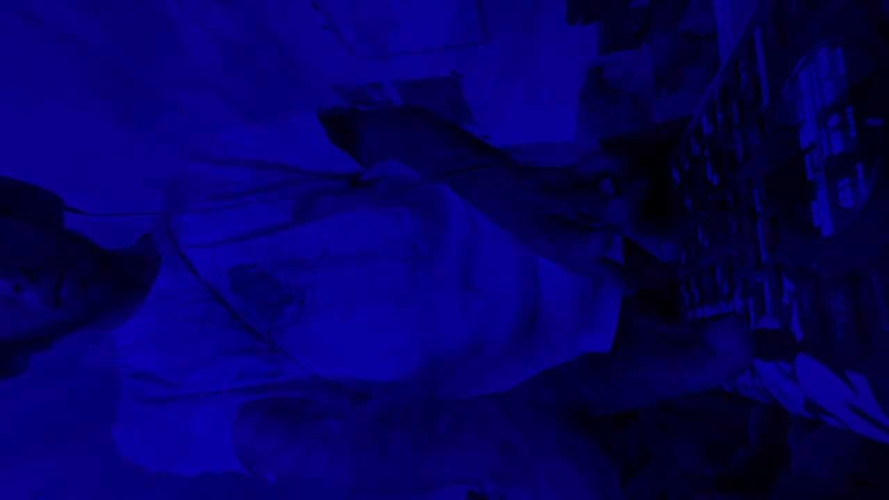 ab Live Set