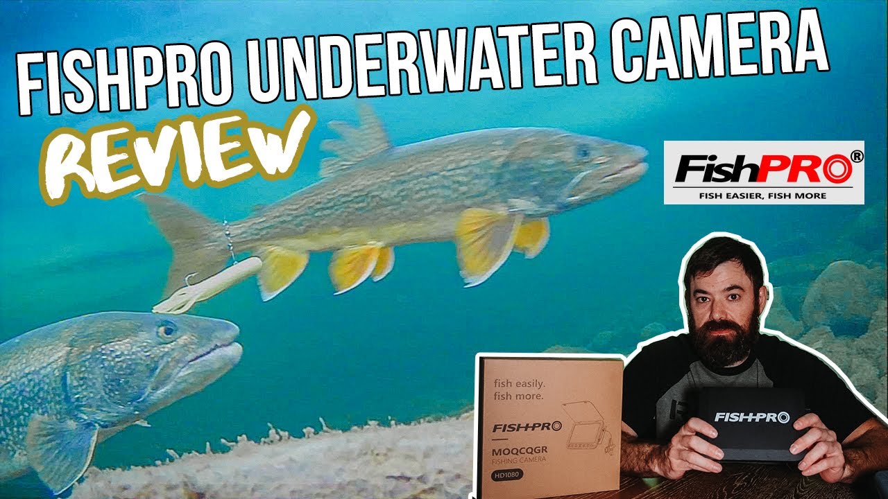 FishPro DVR Underwater Camera Review - Watch Before You Buy!