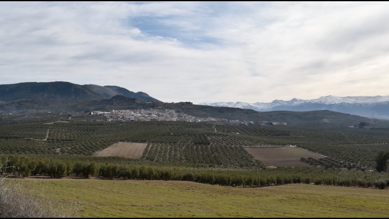 Güevéjar, un municipio del Consorcio de la Vega Sierra-Elvira