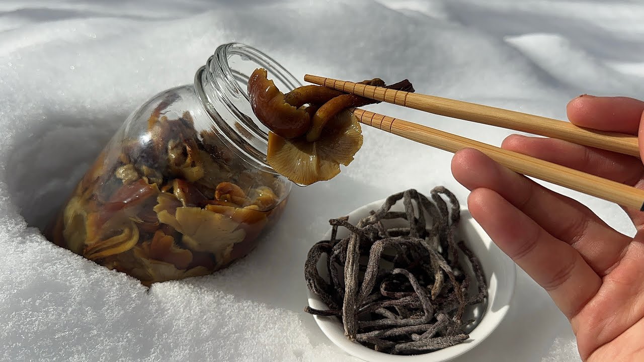 豪雪でも山菜やきのこを食べる　塩漬けクリタケと干しワラビ