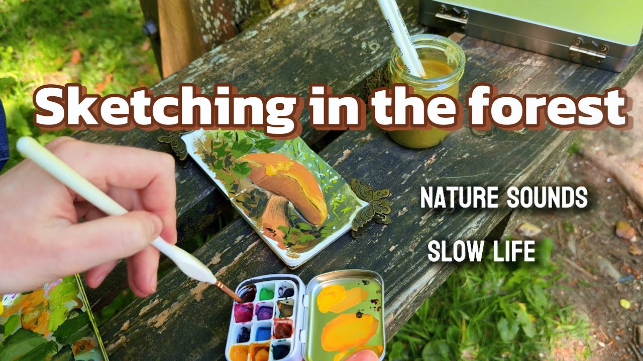 🌿 Sketching in the Forest | Nature Sounds & Slow Living 🎨