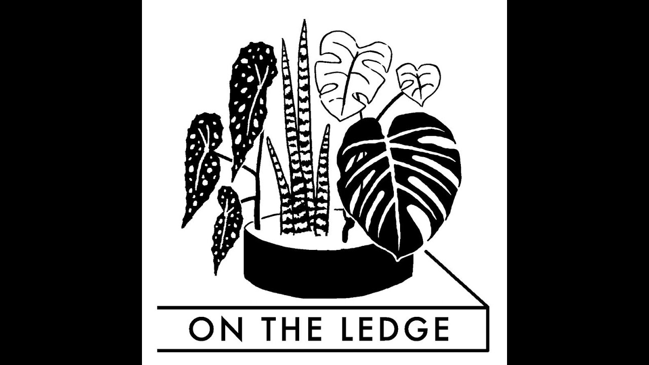 On The Ledge Episode 181: Moth orchid rescue with Terry Richardson