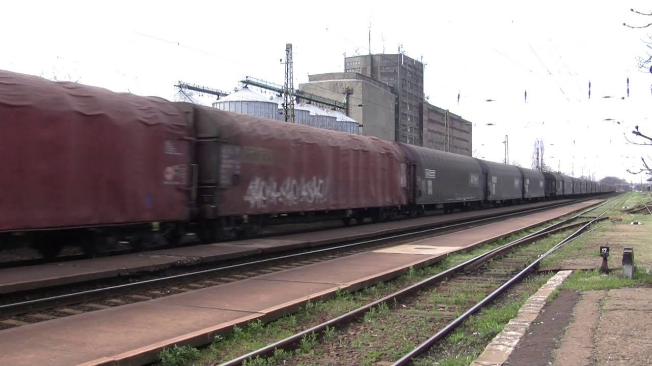 630 031 MMV b&eacute;rben Mezők&ouml;vesden