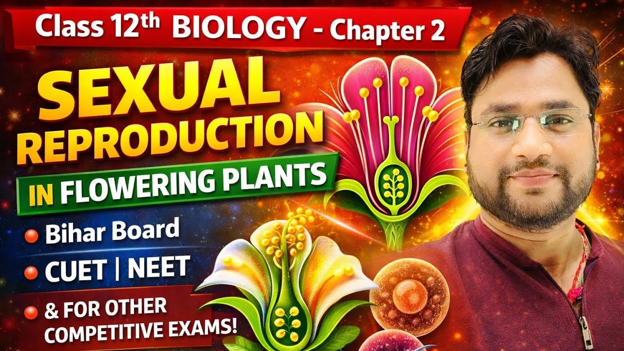 Sexual Reproduction in Flowering Plants 🔥Bio 12 NEET CUET BOARDS COMPETITIVE EXAM 👉🏻Biology Dreamers