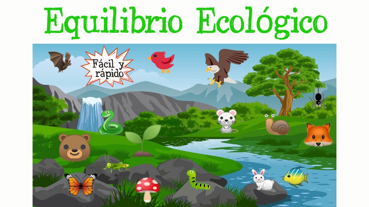 🌿&iquest;Qu&eacute; es el Equilibrio Ecol&oacute;gico?🌈 [F&aacute;cil y R&aacute;pido] | BIOLOG&Iacute;A |