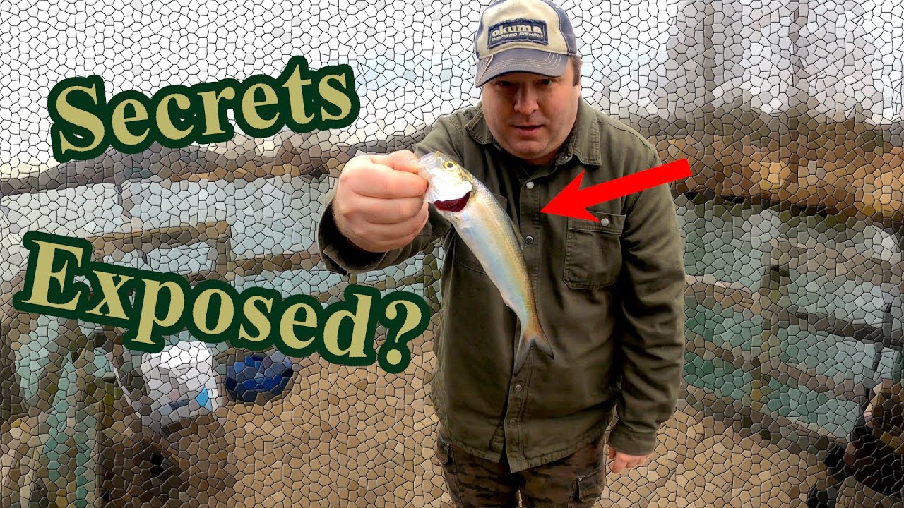 Skipjack Secrets: are they all already exposed?