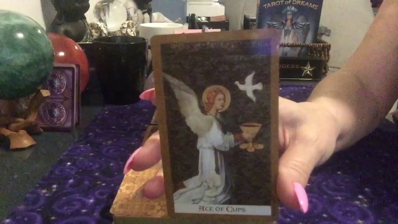 Capricorn Bonus Reading For 23 January