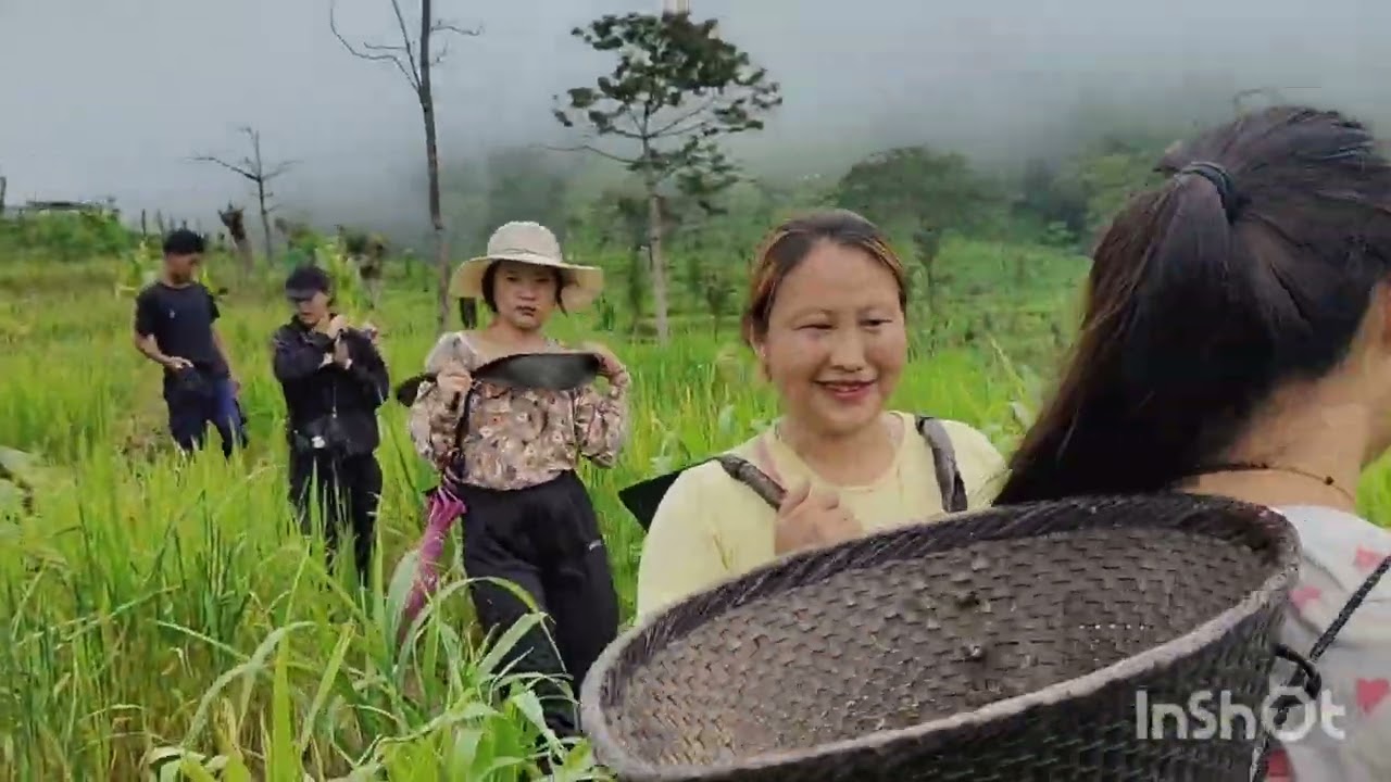 Jhum cultivation of Lazami village Nagaland 
