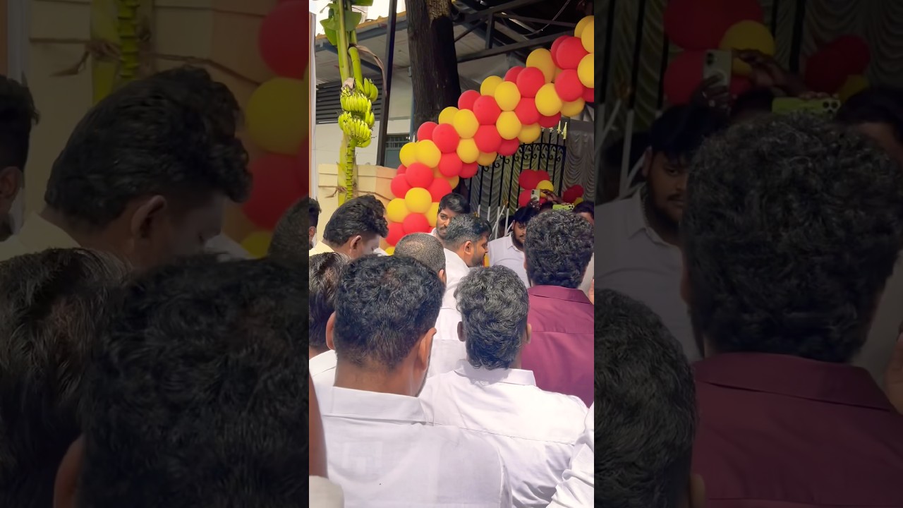 TVK MLA MASS ENTRY 🔥🔥🔥🙏 #greenmicmedia #tvk #tvkvijay #tvkvijay #thalapathy #thalapathyvijay