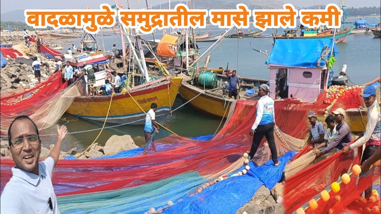 महाराष्ट्रातील नं. १ ची श्रीवर्धनची जीवना जेटी | वादळामुळे समुद्रातील मच्छी झाली कमी | Aapla Jivan