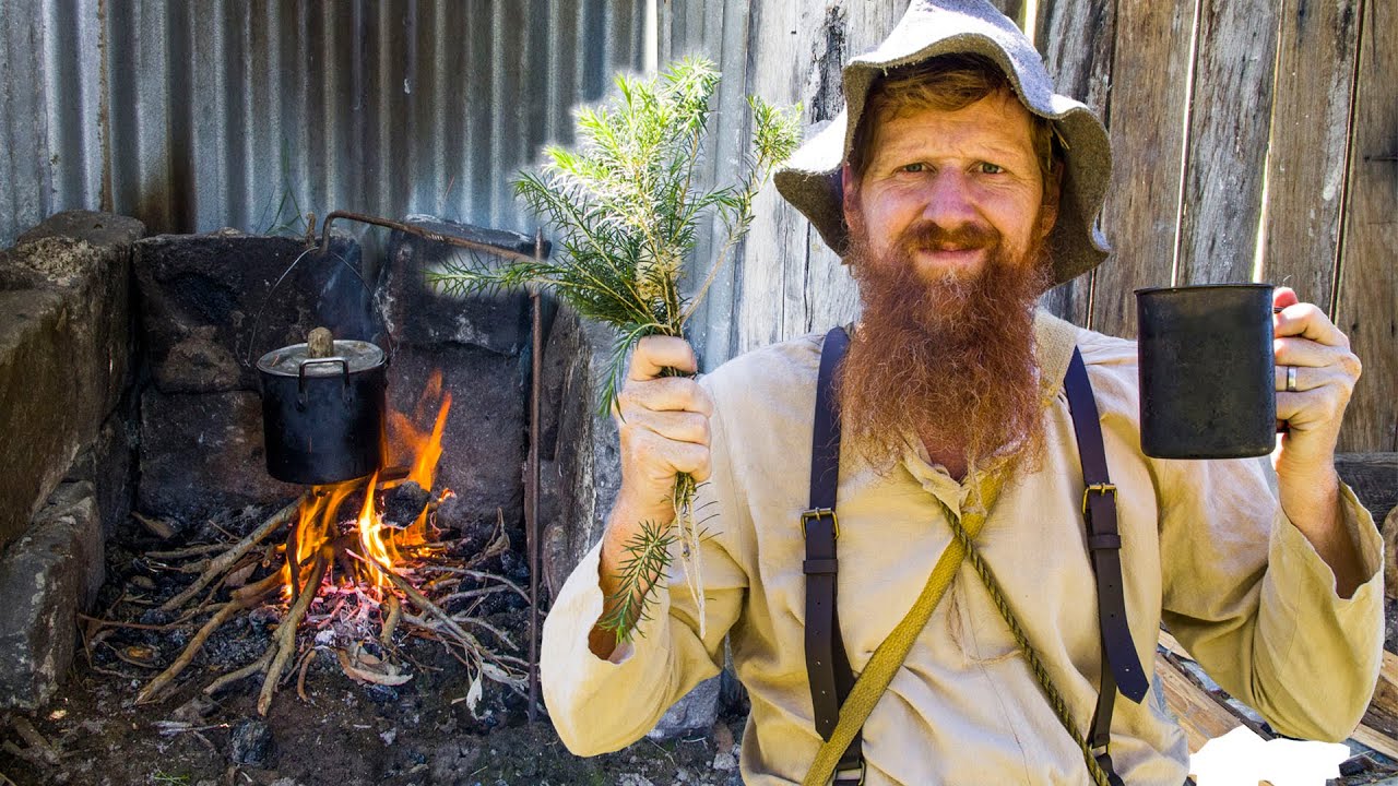 How the Early Settlers Survived on Bush Tea in Wild Australia