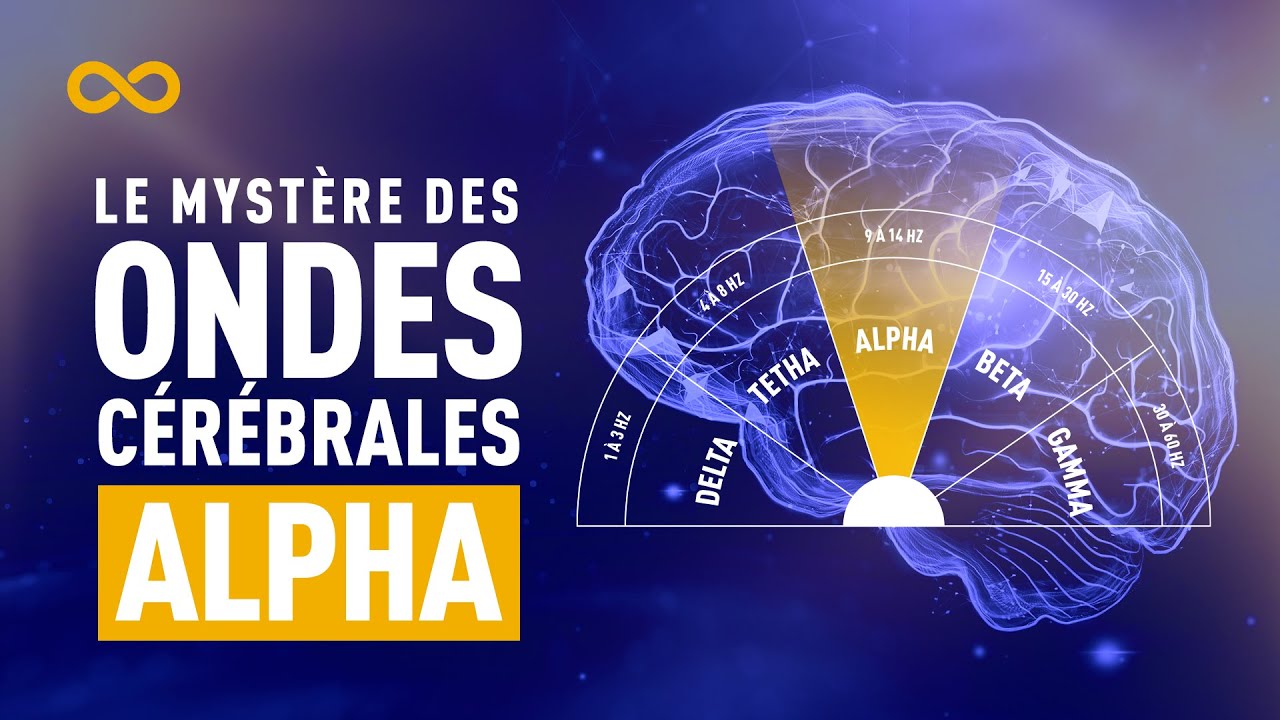 LE MYSTÈRE DES ONDES CÉRÉBRALES ALPHA (NEUROSCIENCES - CERVEAU)