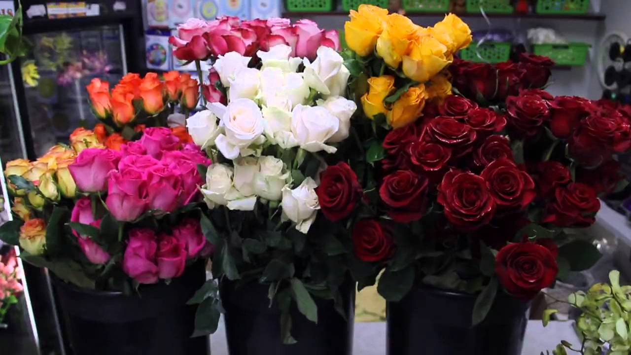Albert's of Brookline | Florist | Gift Shop | Brookline, MA